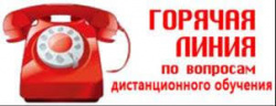 О телефонах горячей линии по вопросам дистанционного образования в общеобразовательных организациях О телефонах горячей линии по вопросам дистанционного образования в общеобразовательных организациях